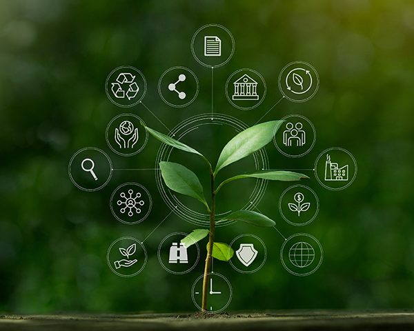 Corporate governance consultants in Dubai, offering GRC services to UAE businesses