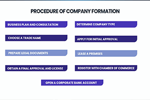 Diagram illustrating the registration process for a free zone company in Dubai.